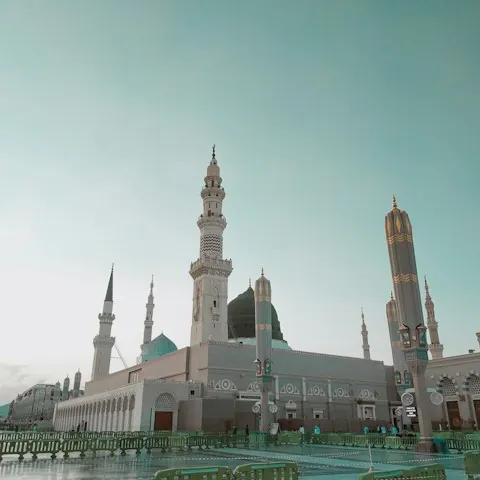 المدينة المنورة